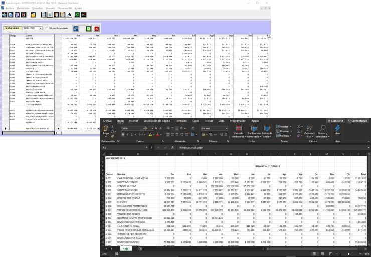 Balance 13 columnas TrueAccount