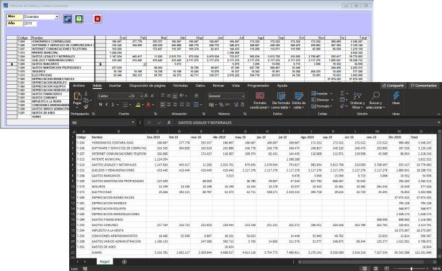 Informe de Gastos y Costos